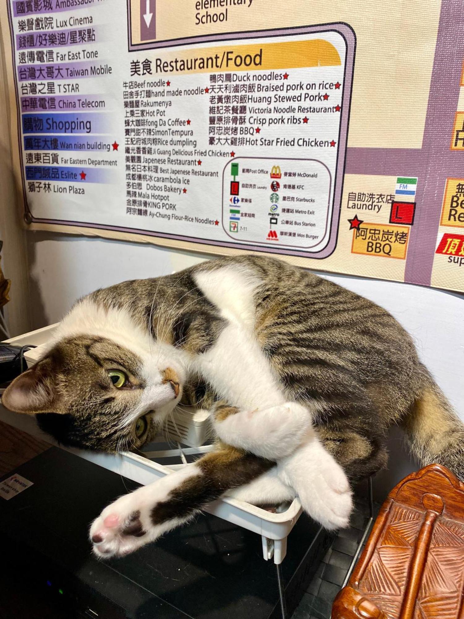 Taipei Triple Tiger Inn מראה חיצוני תמונה